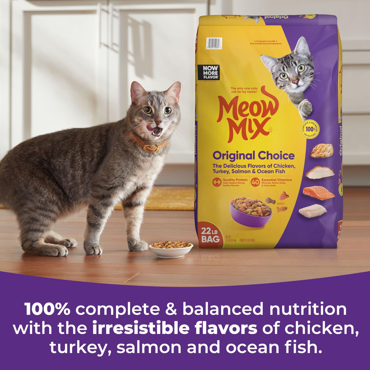 Meow Mix Original Choice Dry Cat Food, 6.3 Pound Bag