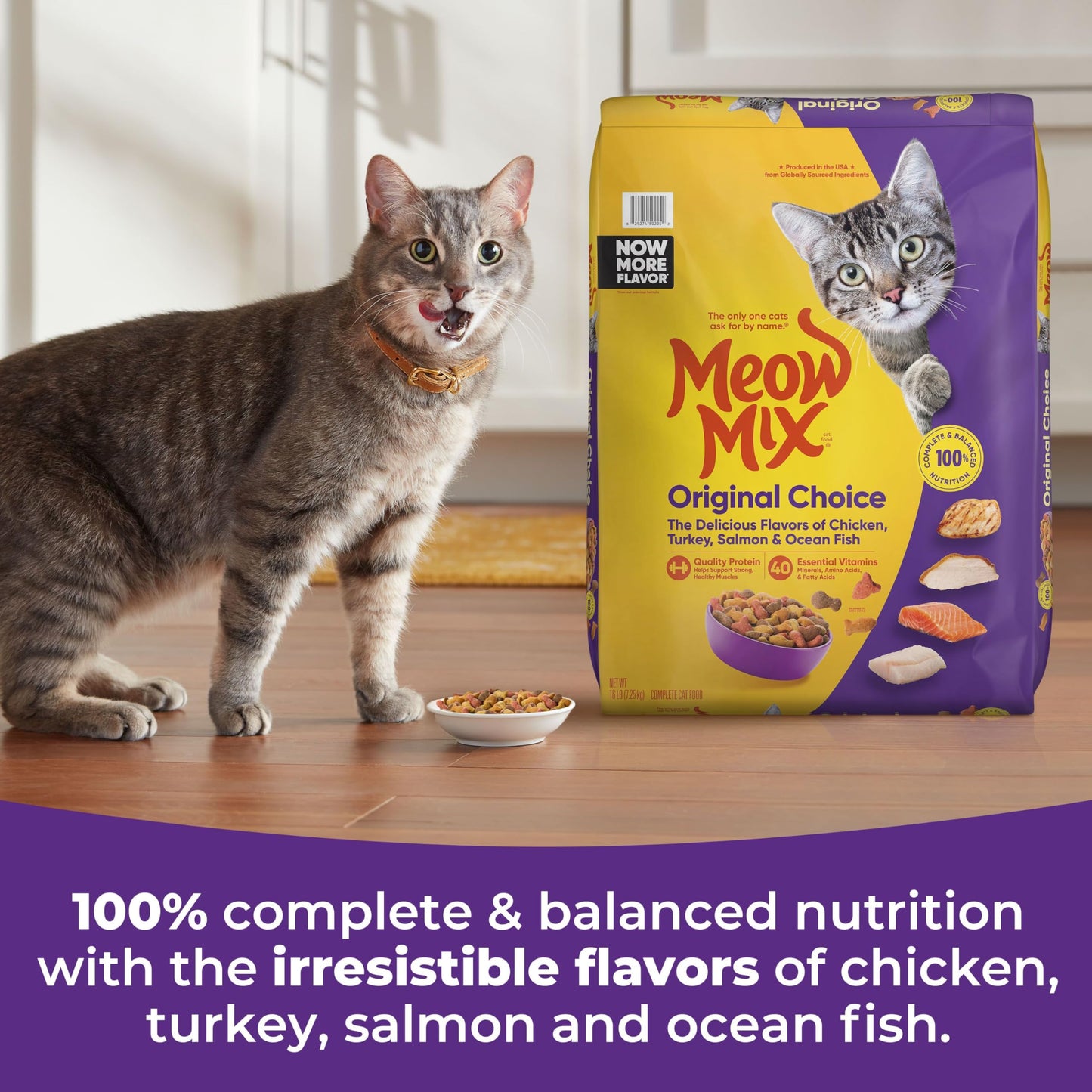 Meow Mix Original Choice Dry Cat Food, 6.3 Pound Bag