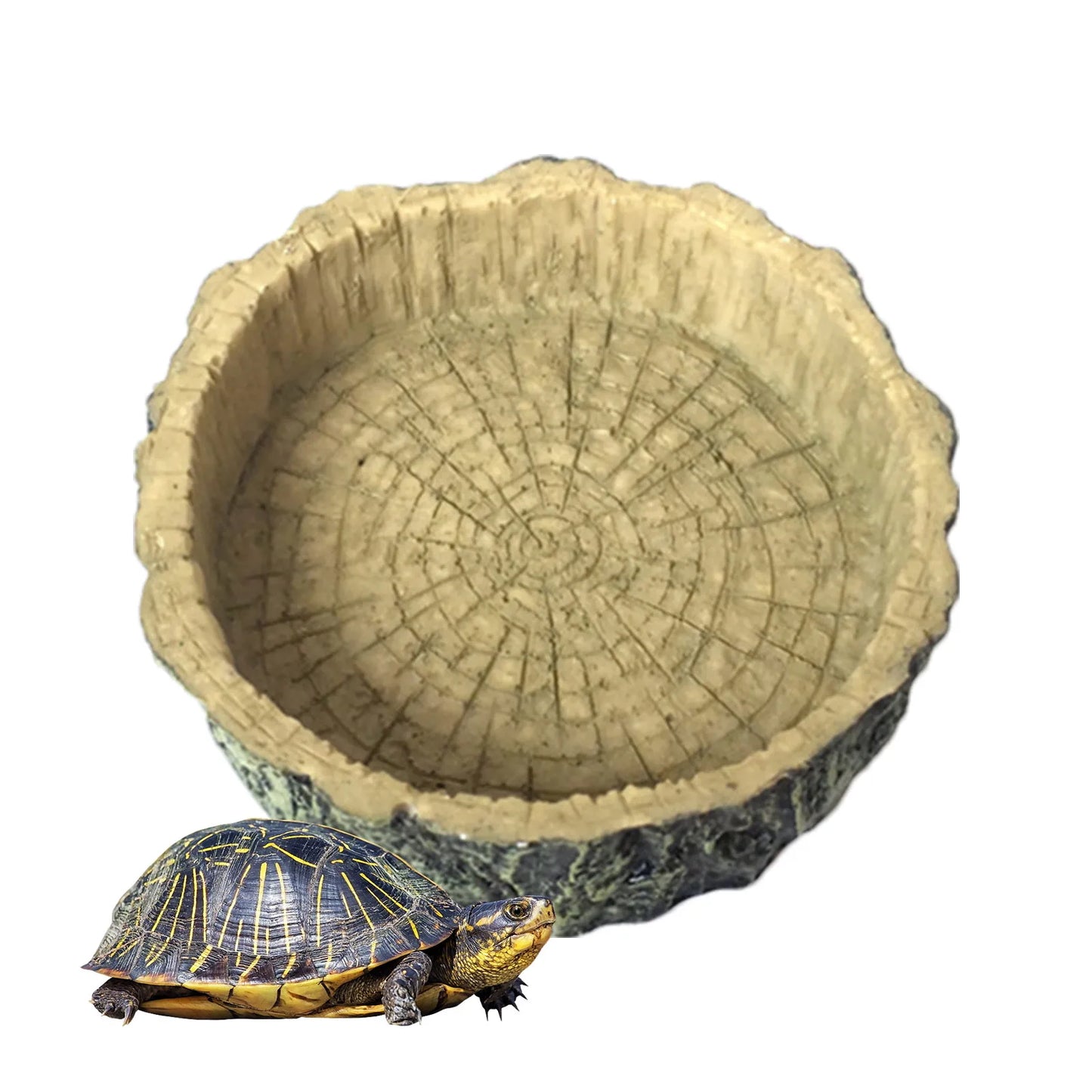 Pet Feeder Bowl - Tortoise Drinker Reptile Feeder Dispenser Landscaping Lizard Water Feeder