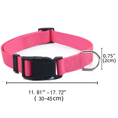 Adjustable Airtag Holder Dog Collar with Quick Snap Buckle for Small Dogs