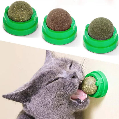 Natural Catnip Wall Sticker Ball Toy Scraper for Cats