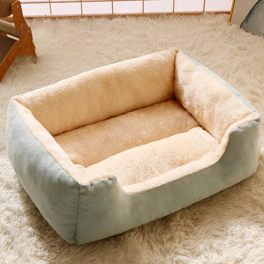 Bed for Cats Pet Products Cushions Kitten Goods Accessories Dog All Houses Supplies Things Accessory Habitats Basket House Beds