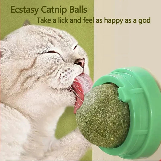 Natural Catnip Wall Sticker Ball Toy Scraper for Cats