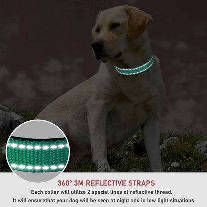 Dog Collar Strap With Adjustable Safety - Reflective Nylon Pet Collar for Small to Medium Size Pets