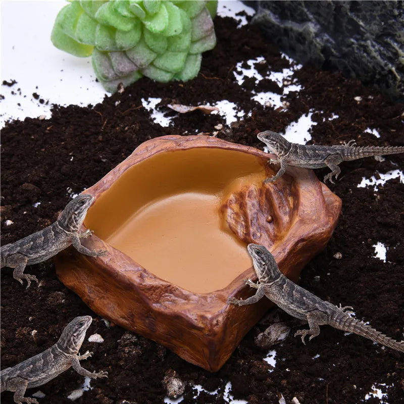 Pet Feeder Bowl - Tortoise Drinker Reptile Feeder Dispenser Landscaping Lizard Water Feeder