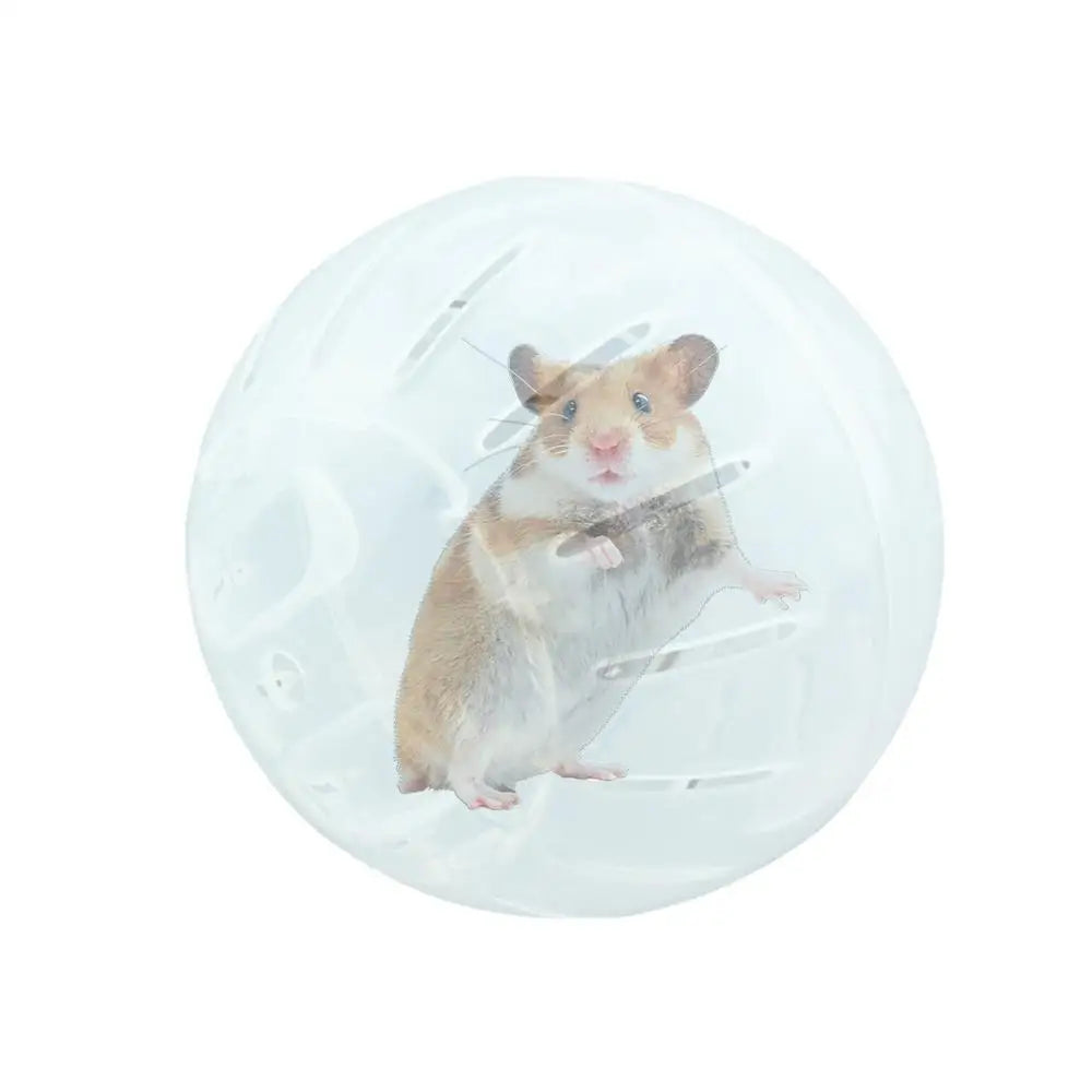 Hamster Exercise Balls - With Traction Rope