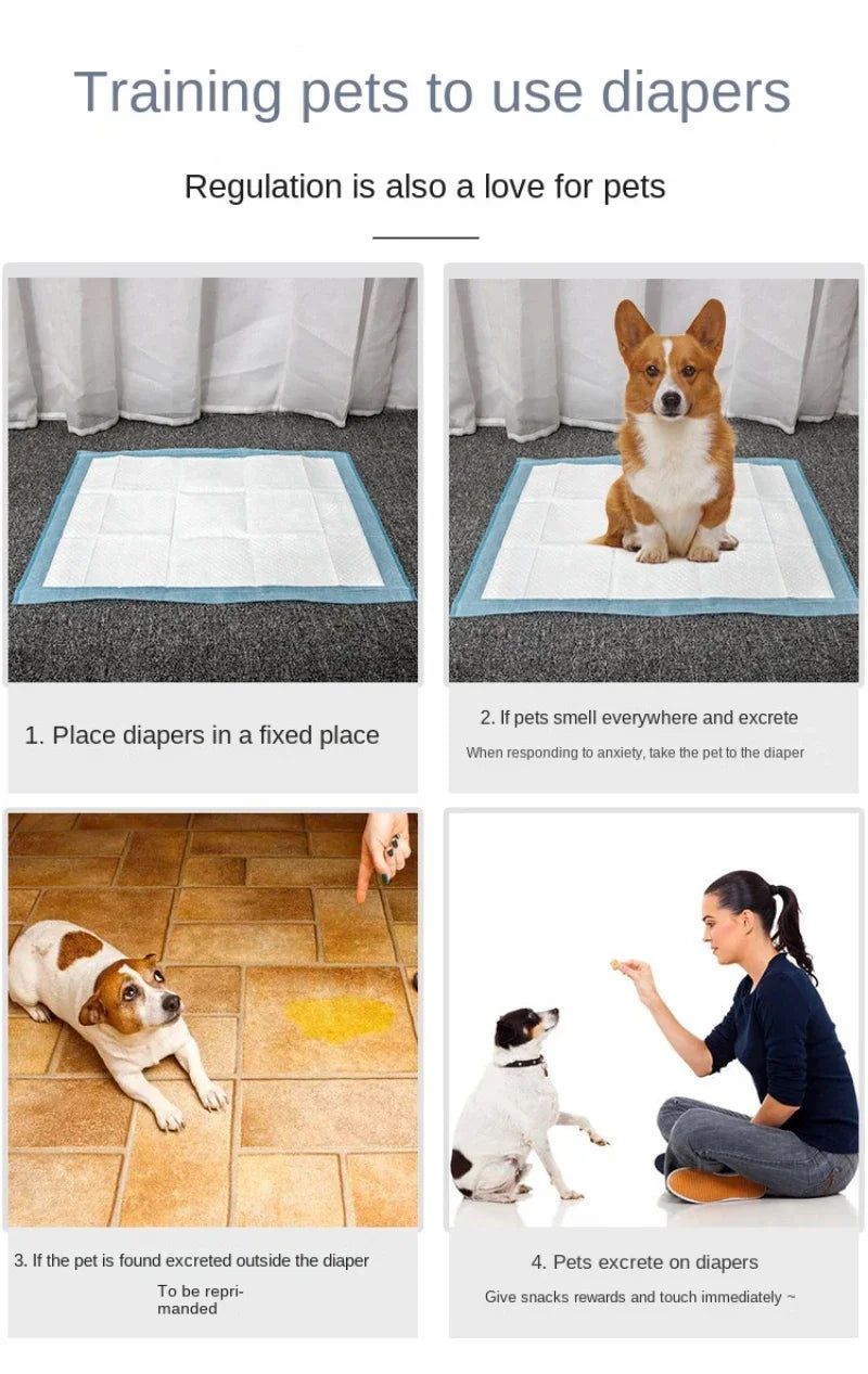 Absorbent Dog Training Pee Pads - 100/50/40/20 pcs Quick Dry Surface in Dog Supplies