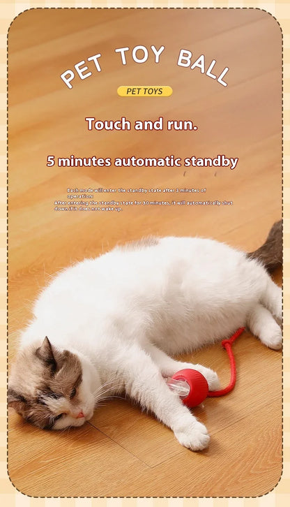 Electric Cat Ball Toy - Automatic Rolling Ball Rechargeable Interactive