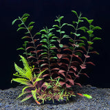 Aquarium Decor Plants - Plastic Aquatic Plant Accessories