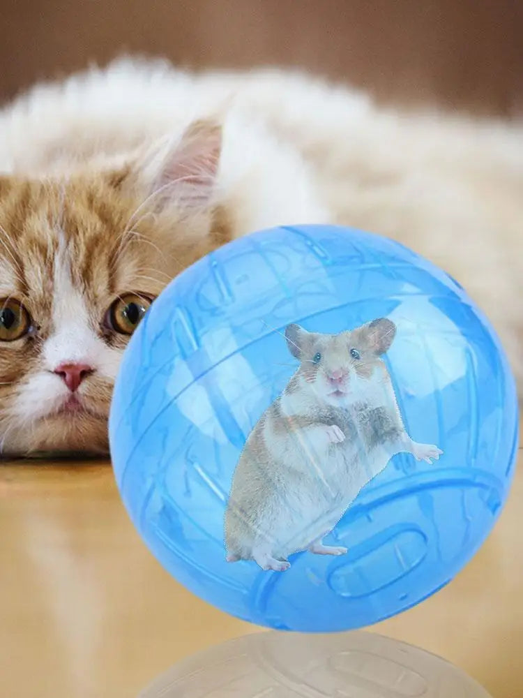 Hamster Exercise Balls - With Traction Rope