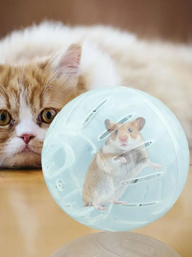 Hamster Exercise Balls - With Traction Rope