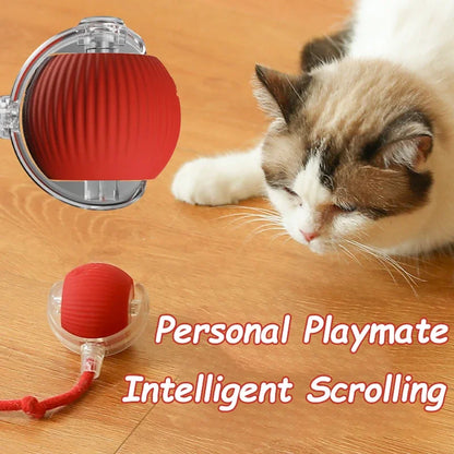 Electric Cat Ball Toy - Automatic Rolling Ball Rechargeable Interactive