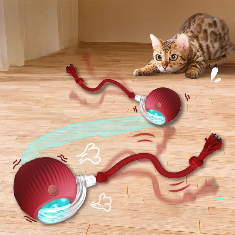 Electric Cat Ball Toy - Automatic Rolling Ball Rechargeable Interactive