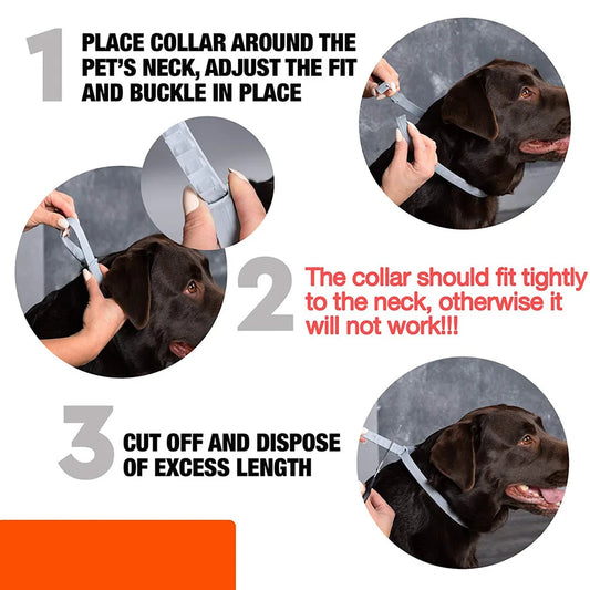 Professional 8 Month Protection Flea & Tick Collar - Anti-mosquito Silicone Dog Cat Collar Wear Resistant