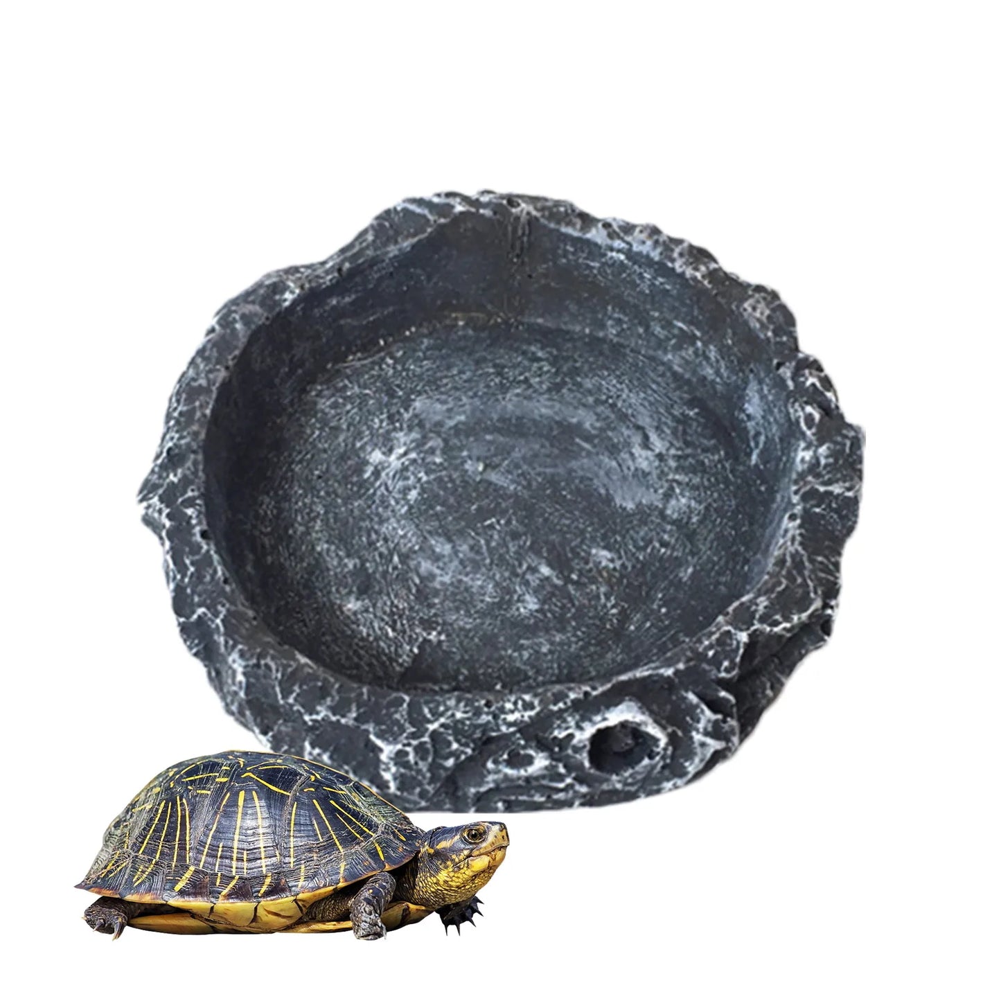 Pet Feeder Bowl - Tortoise Drinker Reptile Feeder Dispenser Landscaping Lizard Water Feeder