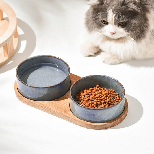 High Quality Ceramic Pet Bowls with Wooden Protective Collar