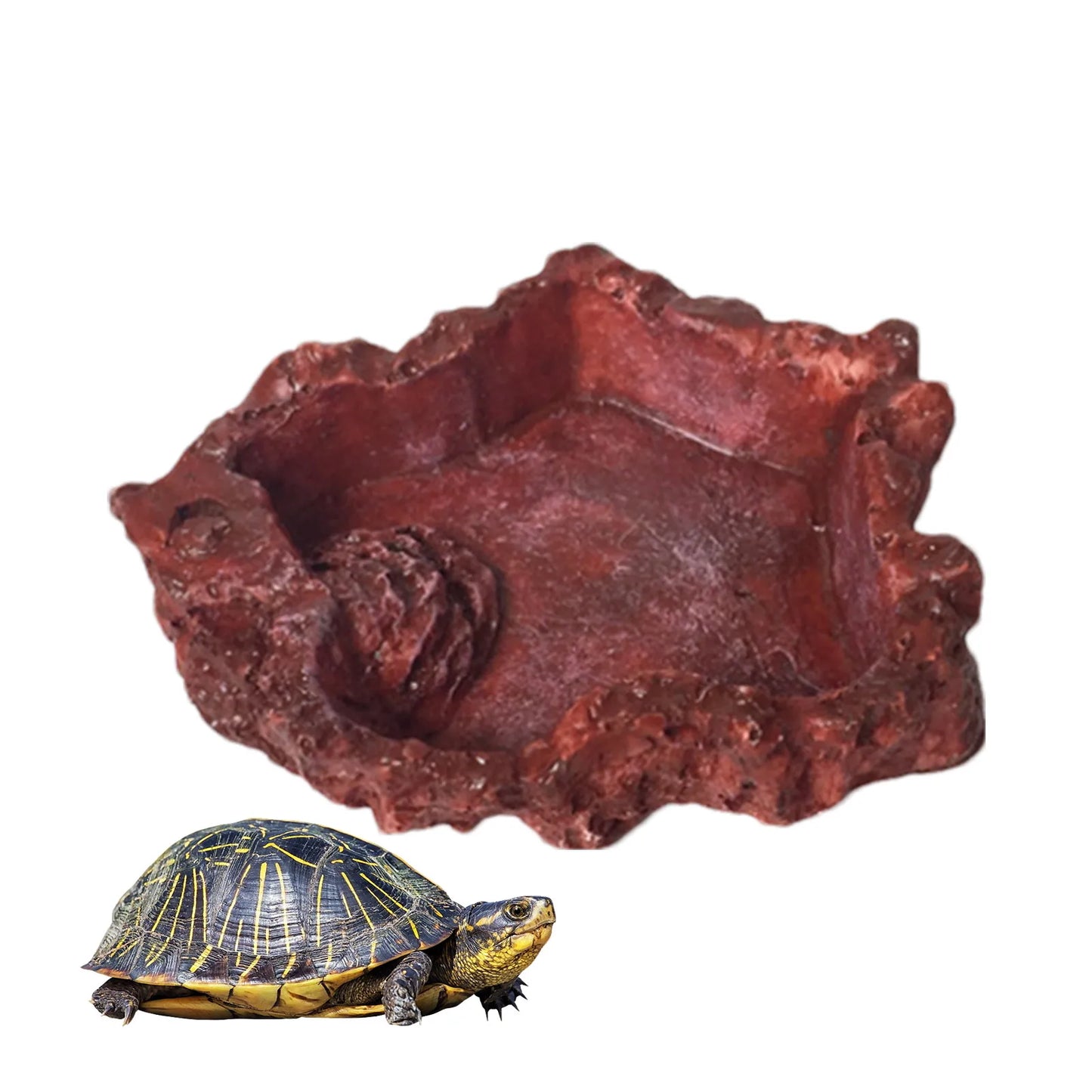 Pet Feeder Bowl - Tortoise Drinker Reptile Feeder Dispenser Landscaping Lizard Water Feeder