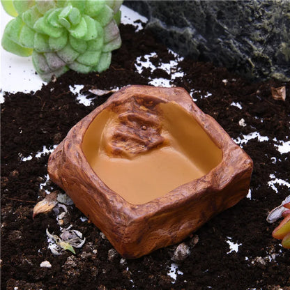 Pet Feeder Bowl - Tortoise Drinker Reptile Feeder Dispenser Landscaping Lizard Water Feeder