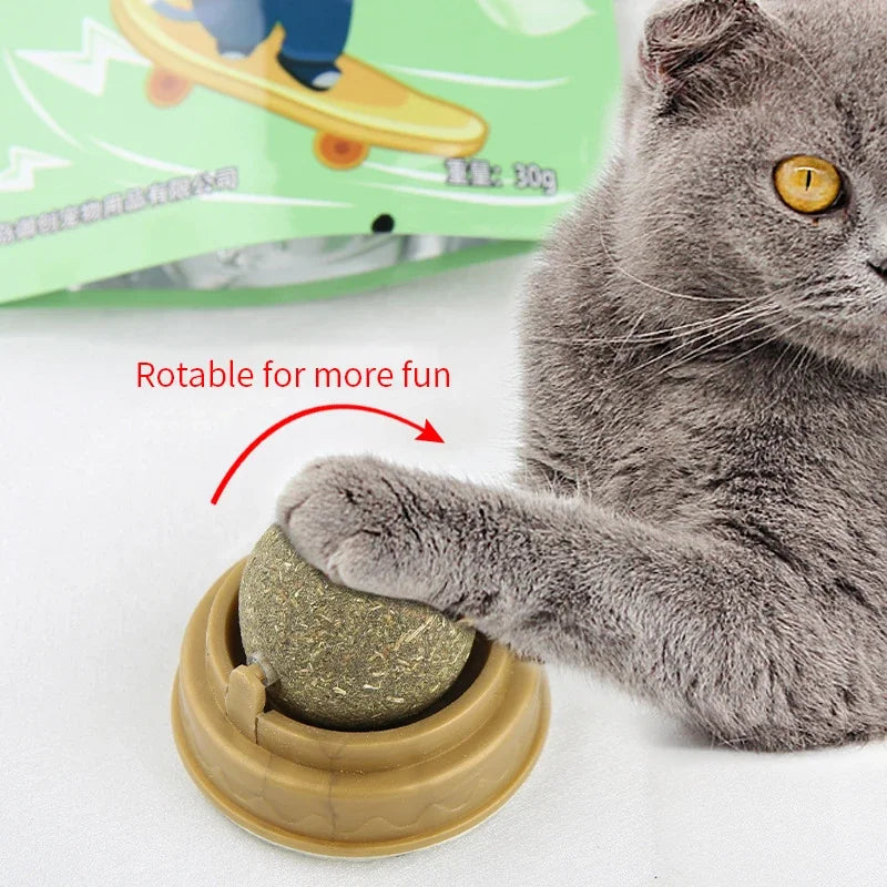 Natural Catnip Wall Sticker Ball Toy Scraper for Cats